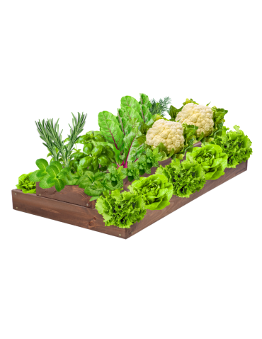 Skrzynia na warzywa regulowana skrzynie na warzywniak inspekt 18x60x120 - produkt 2