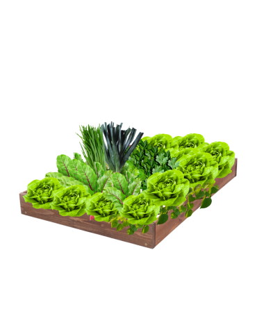 Skrzynia na warzywa regulowana skrzynie na warzywniak inspekt 9x90x30 - product 2