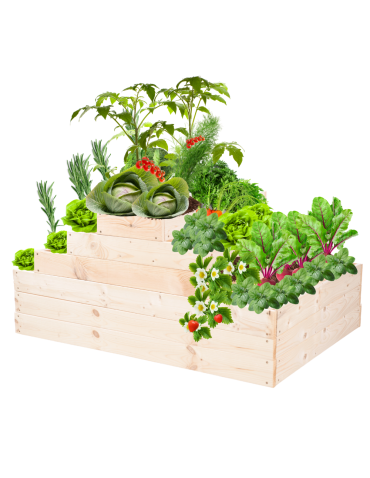 Grządka na warzywa regulowana skrzynie na warzywniak inspekt 54x117x120 - product 2