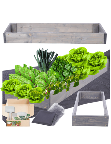 Skrzynia na warzywa regulowana skrzynie na warzywniak donice 9x30x60