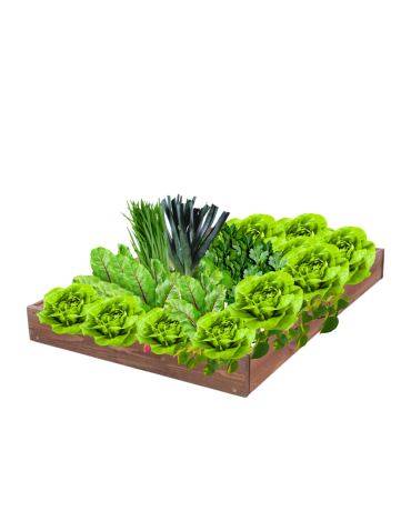 Skrzynia na warzywa regulowana skrzynie na warzywniak inspekt 9x90x60 - product 2