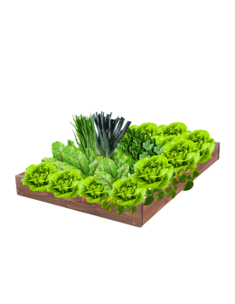 Skrzynia na warzywa regulowana skrzynie na warzywniak inspekt 9x90x60 - product 2