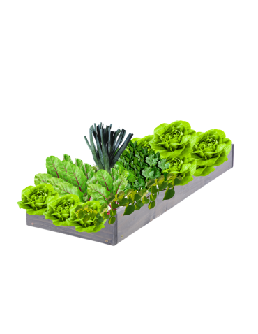 Skrzynia na warzywa regulowana skrzynie na warzywniak donice 9x30x80 - product 2