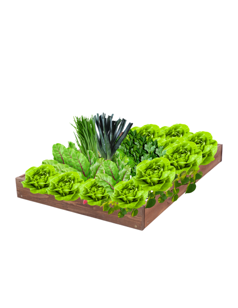 Grządki kaskadowe - Skrzynia na warzywa regulowana skrzynie na warzywniak inspekt 9x90x80 - product b2b.wamar.biz 2