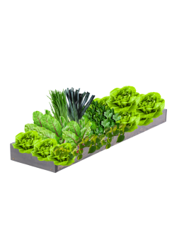 Skrzynia na warzywa regulowana skrzynie na warzywniak donice 9x30x100 - product 2