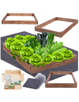 Skrzynia na warzywa regulowana skrzynie na warzywniak inspekt 9x90x100