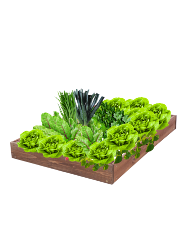 Skrzynia na warzywa regulowana skrzynie na warzywniak inspekt 9x90x120 - product 2