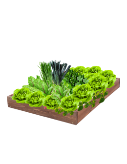 Skrzynia na warzywa regulowana skrzynie na warzywniak inspekt 9x90x120 - product 2