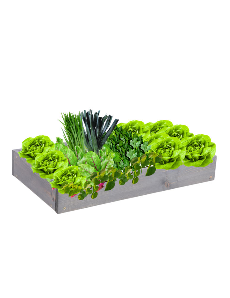 Grządki kaskadowe - Skrzynia na warzywa regulowana skrzynie na warzywniak inspekt 9x60x30 - product b2b.wamar.biz 2