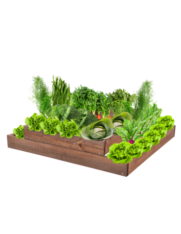 Skrzynia na warzywa regulowana skrzynie na warzywniak inspekt 18x90x90 - produkt 2