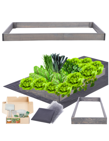 Skrzynia na warzywa regulowana skrzynie na warzywniak inspekt 9x60x90