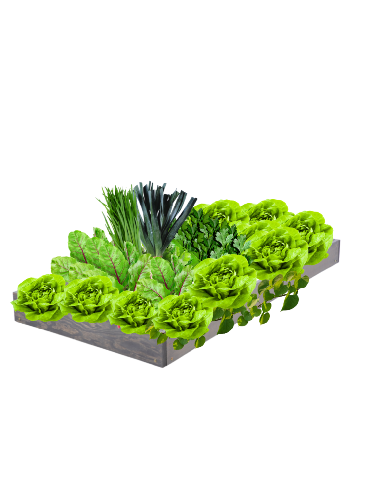 Grządki kaskadowe - Skrzynia na warzywa regulowana skrzynie na warzywniak inspekt 9x60x90 - product b2b.wamar.biz 2