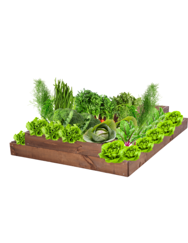 Skrzynia na warzywa regulowana skrzynie na warzywniak inspekt 18x90x100 - produkt 2