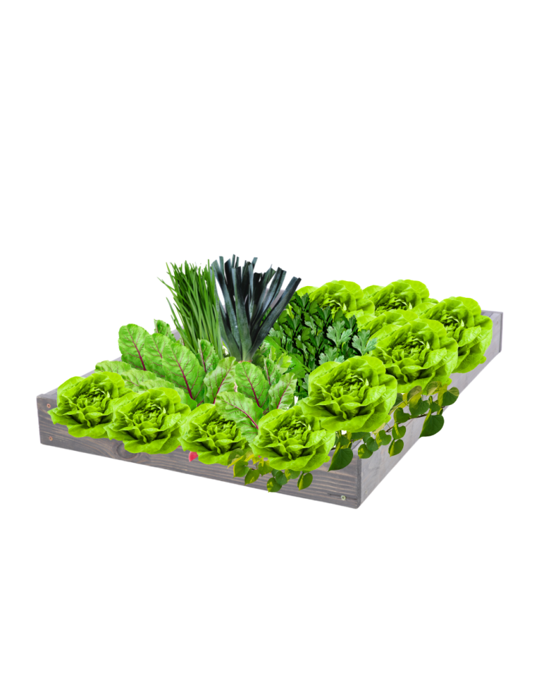 Grządki kaskadowe - Skrzynia na warzywa regulowana skrzynie na warzywniak inspekt 9x60x120 - product b2b.wamar.biz 2