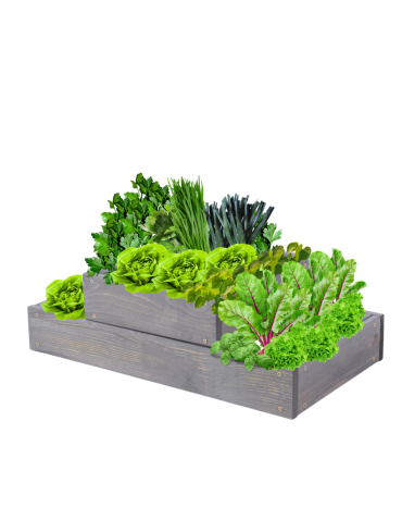 Skrzynia na warzywa regulowana skrzynie na warzywniak donice 18x60x30 - product 2