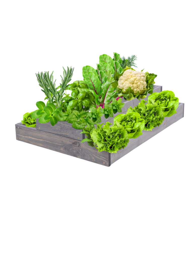 Grządki kaskadowe - Skrzynia na warzywa regulowana skrzynie na warzywniak donice 18x60x60 - product b2b.wamar.biz 2