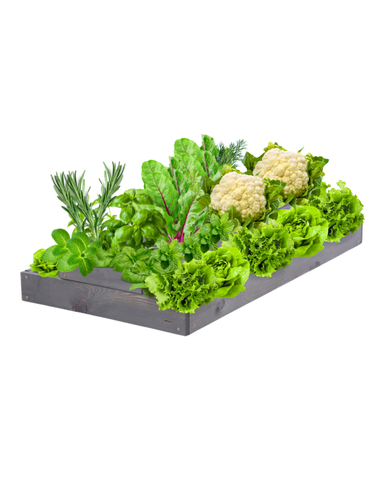 Grządki kaskadowe - Skrzynia na warzywa regulowana skrzynie na warzywniak inspekt 18x60x100 - produkt b2b.wamar.biz 2