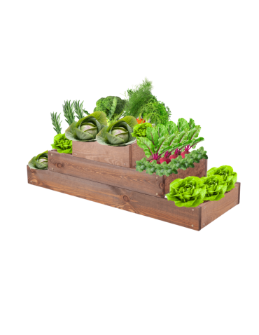 Grządka na warzywa regulowana skrzynie na warzywniak inspekt 27x117x30 - product 2