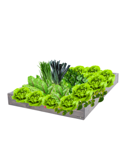 Skrzynia na warzywa regulowana skrzynie na warzywniak inspekt 9x90x30 - product 2