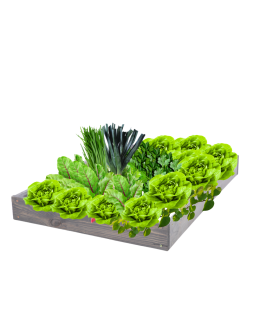 Skrzynia na warzywa regulowana skrzynie na warzywniak inspekt 9x90x80 - product 2