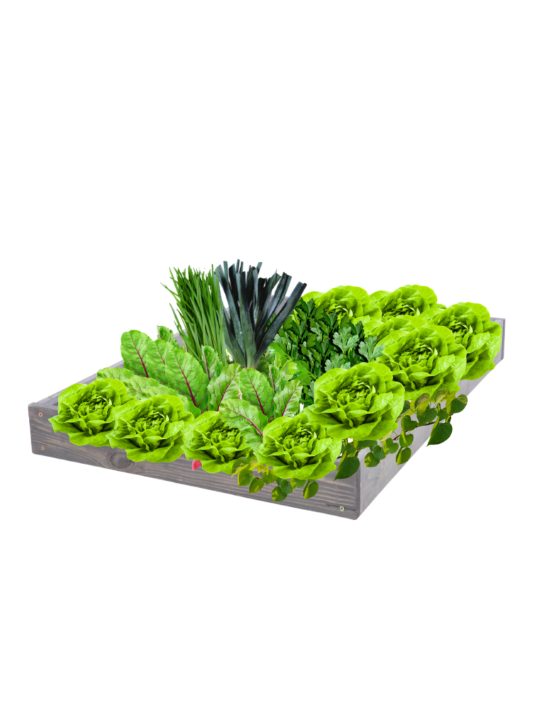 Grządki kaskadowe - Skrzynia na warzywa regulowana skrzynie na warzywniak inspekt 9x90x120 - produkt b2b.wamar.biz 2