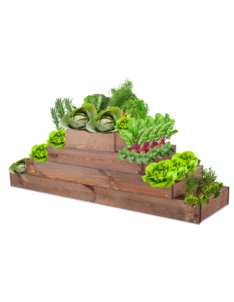 Grządki kaskadowe - Skrzynia na warzywa regulowana skrzynie na warzywniak donica 36x117x30 - product b2b.wamar.biz 2