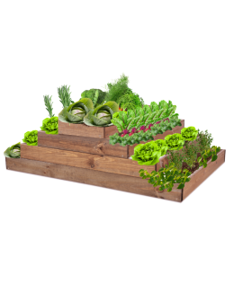 Skrzynia na warzywa regulowana skrzynie na warzywniak donica 36x117x60 - product 2