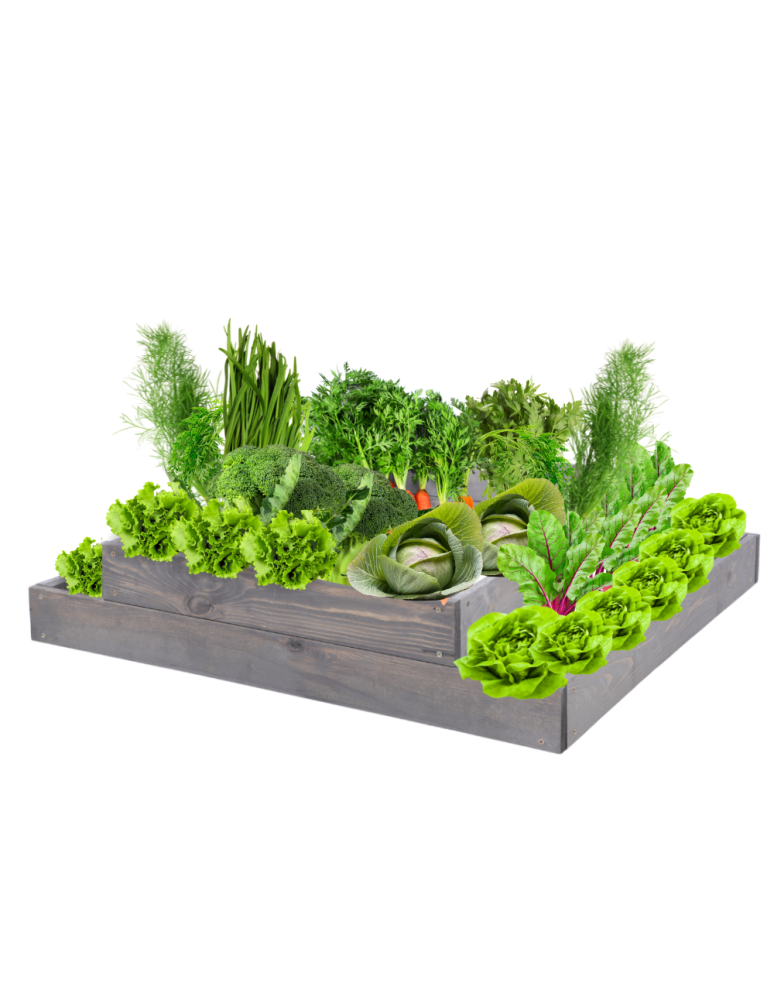 Grządki kaskadowe - Skrzynia na warzywa regulowana skrzynie na warzywniak inspekt 18x90x60 - product b2b.wamar.biz 2