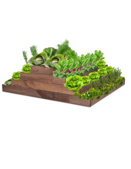 Skrzynia na warzywa regulowana skrzynie na warzywniak donice 36x117x120 - product 2