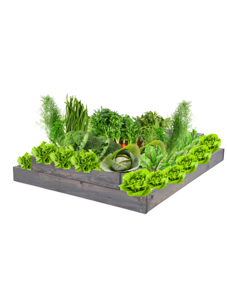 Grządki kaskadowe - Skrzynia na warzywa regulowana skrzynie na warzywniak inspekt 18x90x120 - product b2b.wamar.biz 2