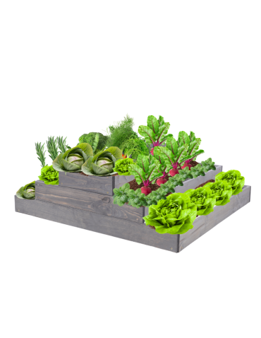 Skrzynia na warzywa regulowana skrzynie na warzywniak inspekt 27x90x60 - produkt 2