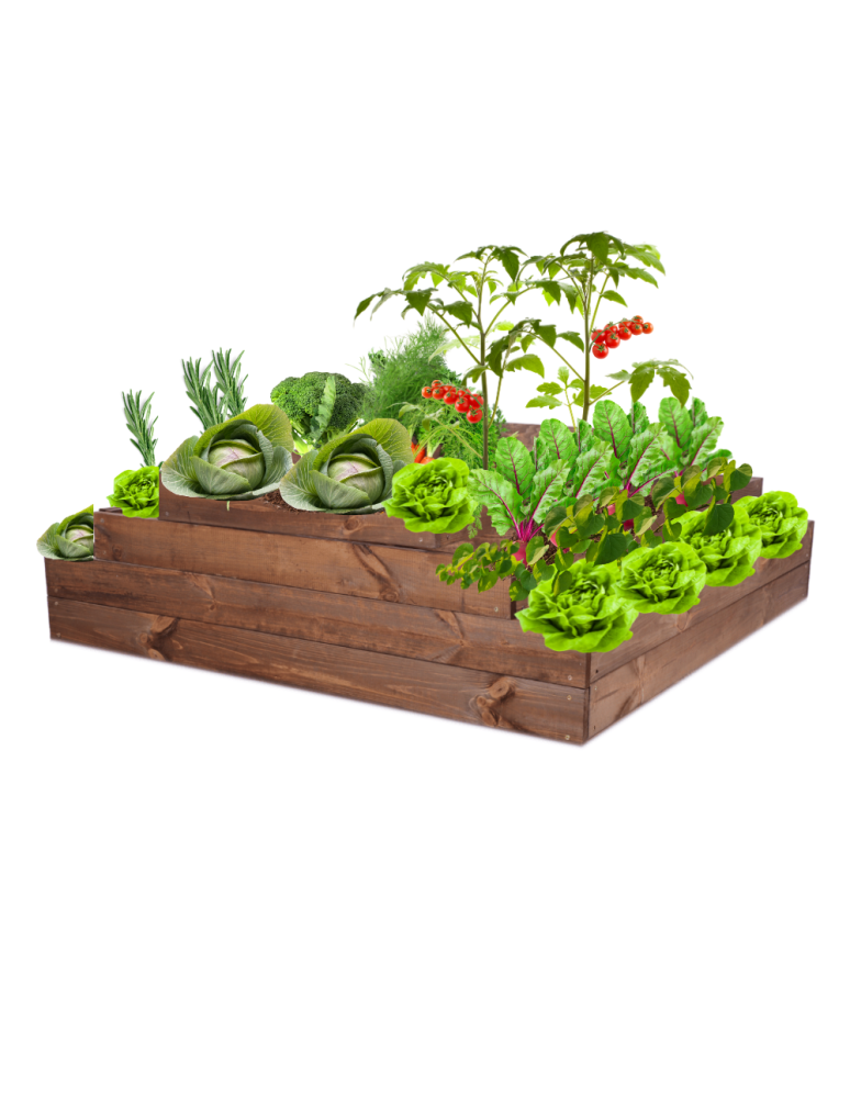 Grządki kaskadowe - Skrzynia na warzywa regulowana skrzynie na warzywniak donica 36x117x120 - produkt b2b.wamar.biz 2