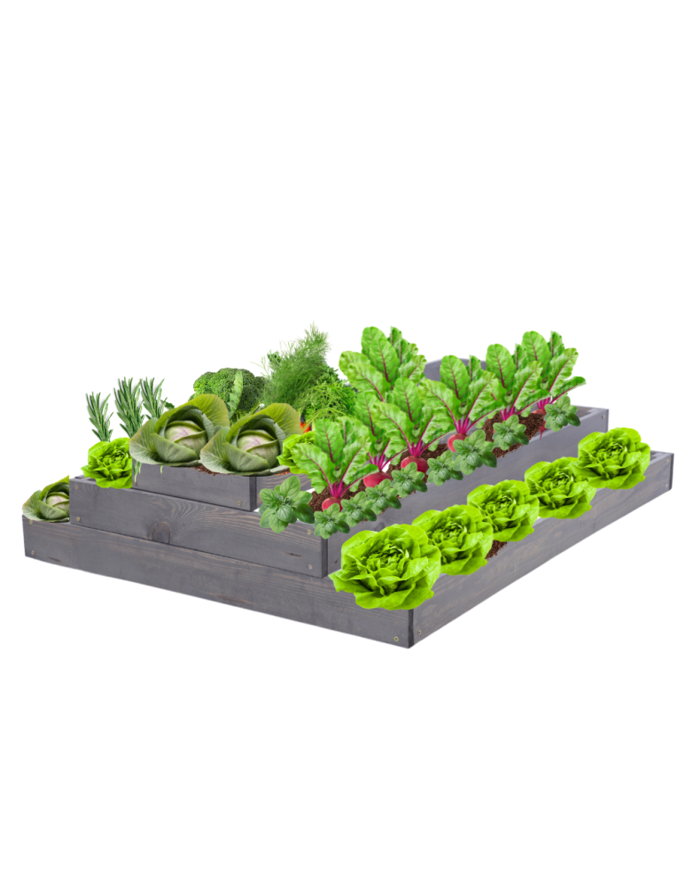 Grządki kaskadowe - Skrzynia na warzywa regulowana skrzynie na warzywniak inspekt 27x90x120 - product b2b.wamar.biz 2