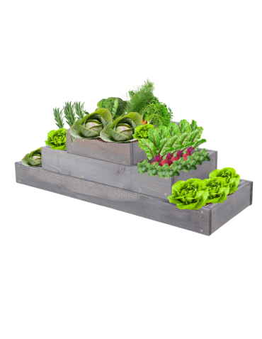 Grządka na warzywa regulowana skrzynie na warzywniak inspekt 27x117x30 - product 2