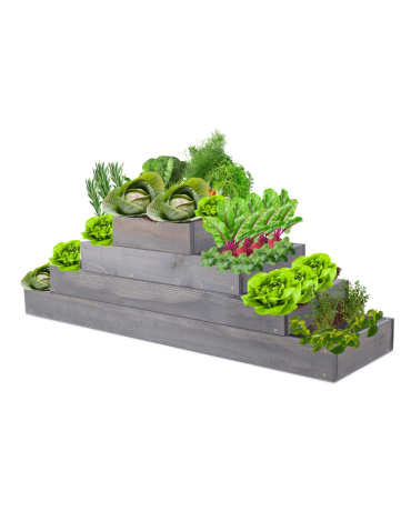 Skrzynia na warzywa regulowana skrzynie na warzywniak donica 36x117x30 - produkt 2