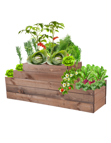 Skrzynia na warzywa kaskadowa skrzynie na warzywniak regulacja 45x117x30 - product 2
