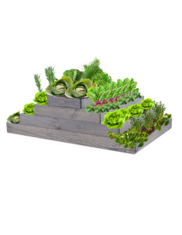 Skrzynia na warzywa regulowana skrzynie na warzywniak donica 36x117x80 - product 2