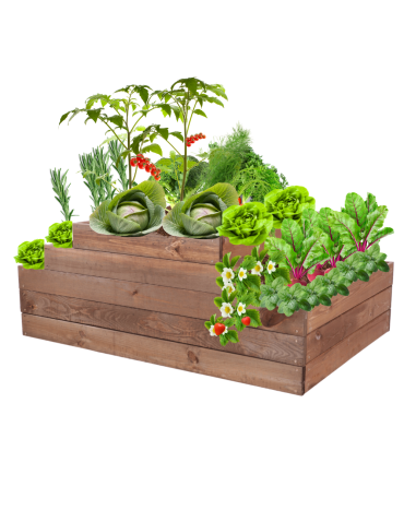 Skrzynia na warzywa kaskadowa skrzynie na warzywniak regulacja 45x117x80 - product 2