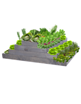 Skrzynia na warzywa regulowana skrzynie na warzywniak donice 36x117x120 - product 2