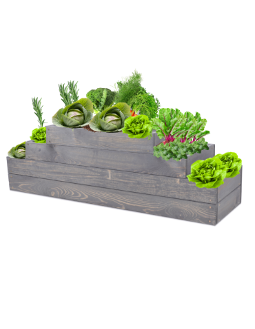 Skrzynia na warzywa regulowana skrzynie na warzywnik inspekt 36x117x30 - produkt 2