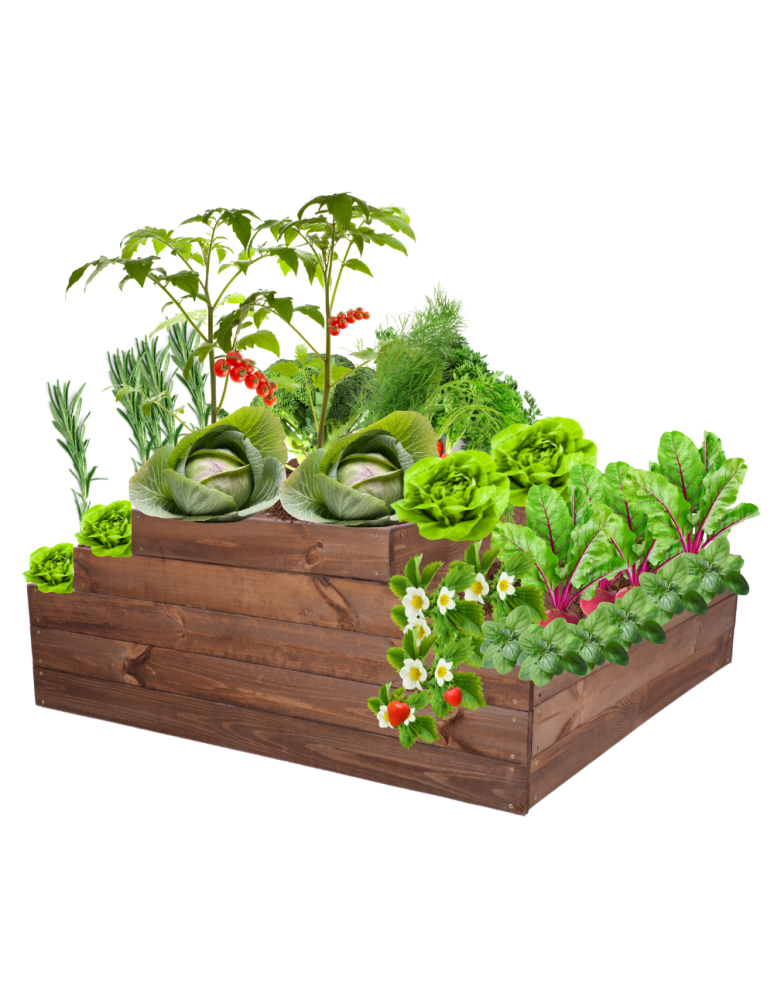 Grządki kaskadowe - Skrzynia na warzywa regulowana skrzynie na warzywniak inspekt 45x117x120 - product b2b.wamar.biz 2