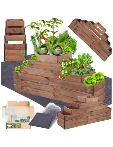 Grządka na warzywa regulowana skrzynie na warzywniak inspekt 54x117x30