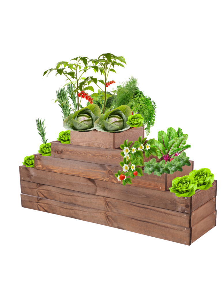 Grządki kaskadowe - Grządka na warzywa regulowana skrzynie na warzywniak inspekt 54x117x30 - product b2b.wamar.biz 2