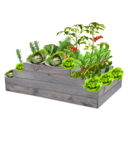 Skrzynia na warzywa regulowana skrzynie na warzywniak donica 36x117x90 - product 2