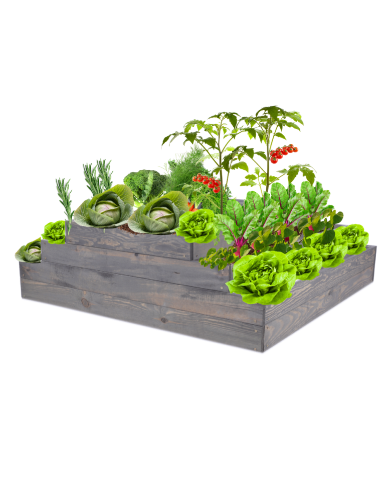 Grządki kaskadowe - Skrzynia na warzywa regulowana skrzynie na warzywniak donica 36x117x120 - product b2b.wamar.biz 2