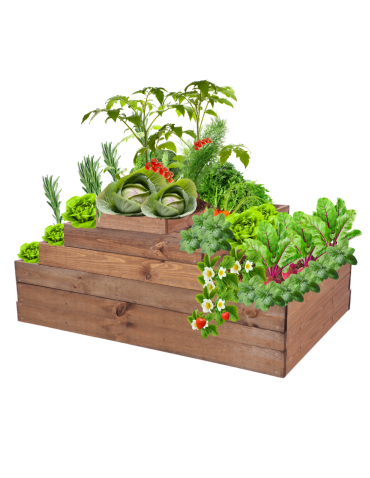 Grządka na warzywa regulowana skrzynie na warzywniak inspekt 54x117x100 - product 2