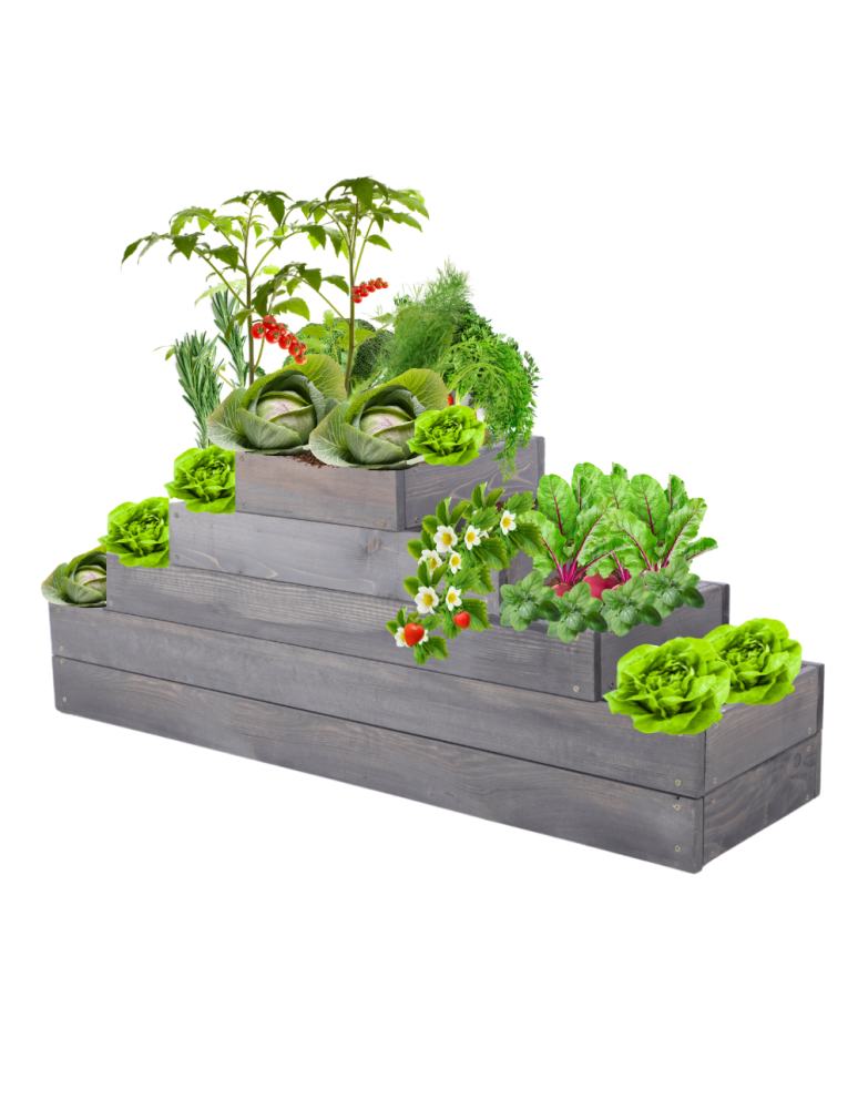 Grządki kaskadowe - Skrzynia na warzywa kaskadowa skrzynie na warzywniak regulacja 45x117x30 - produkt b2b.wamar.biz 2