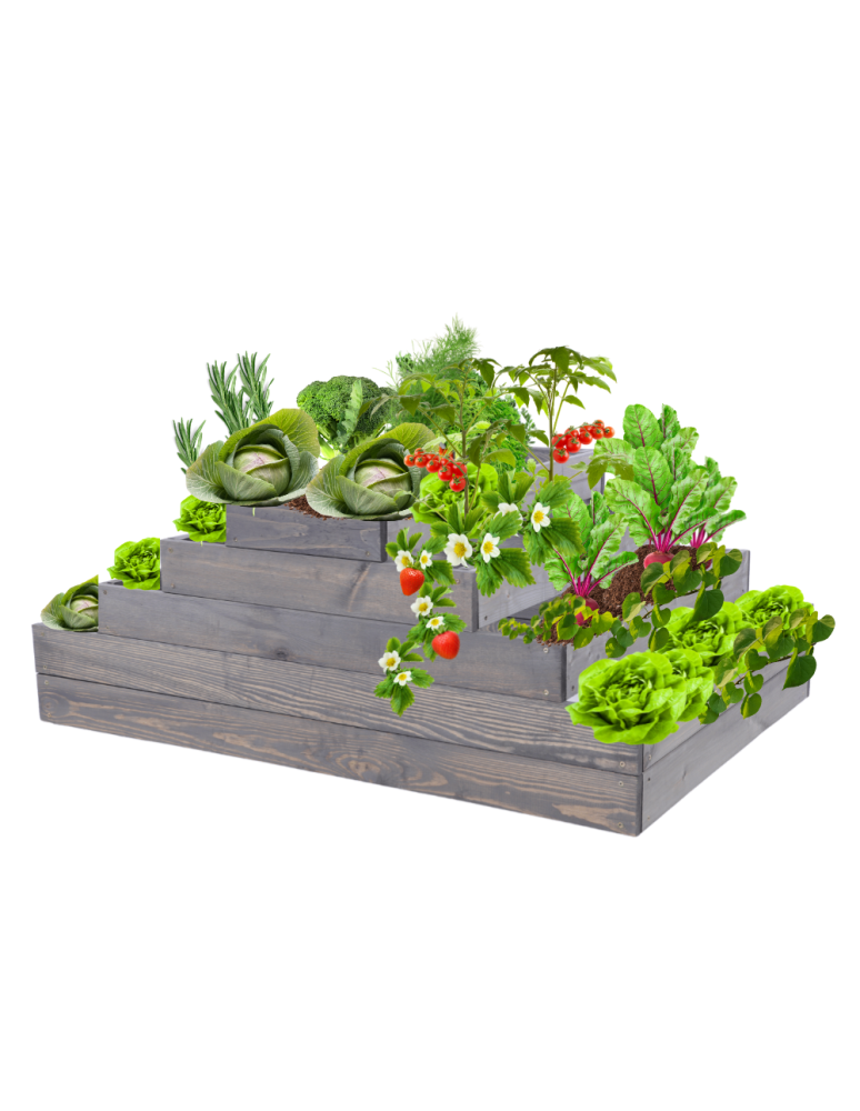 Grządki kaskadowe - Skrzynia na warzywa kaskadowa skrzynie na warzywniak regulacja 45x117x60 - produkt b2b.wamar.biz 2