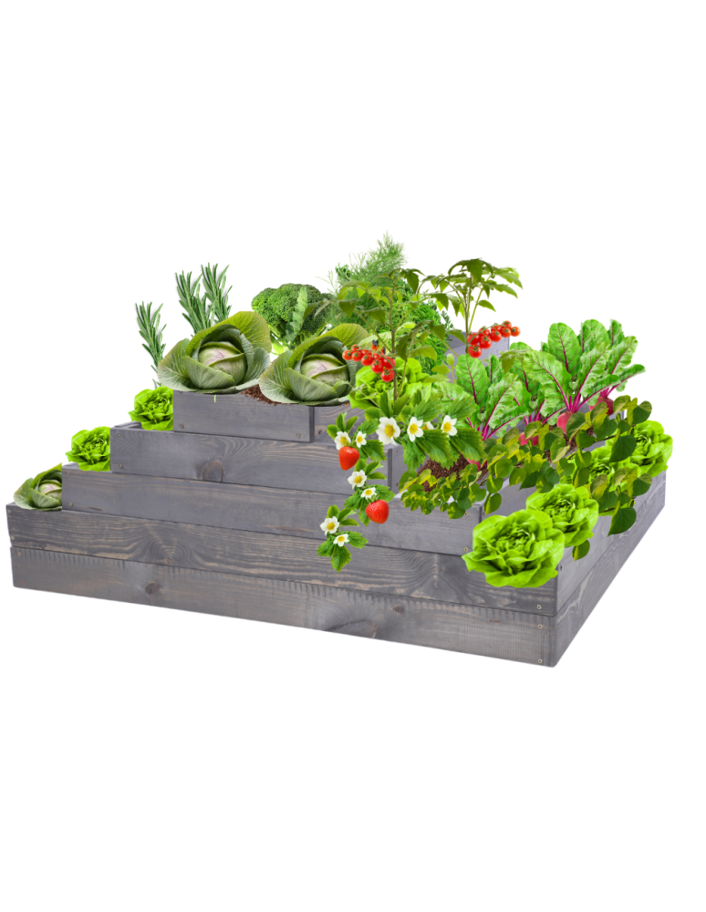 Grządki kaskadowe - Skrzynia na warzywa kaskadowa skrzynie na warzywniak regulacja 45x117x120 - product b2b.wamar.biz 2