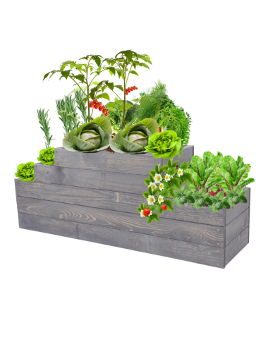 Skrzynia na warzywa kaskadowa skrzynie na warzywniak regulacja 45x117x30 - product 2